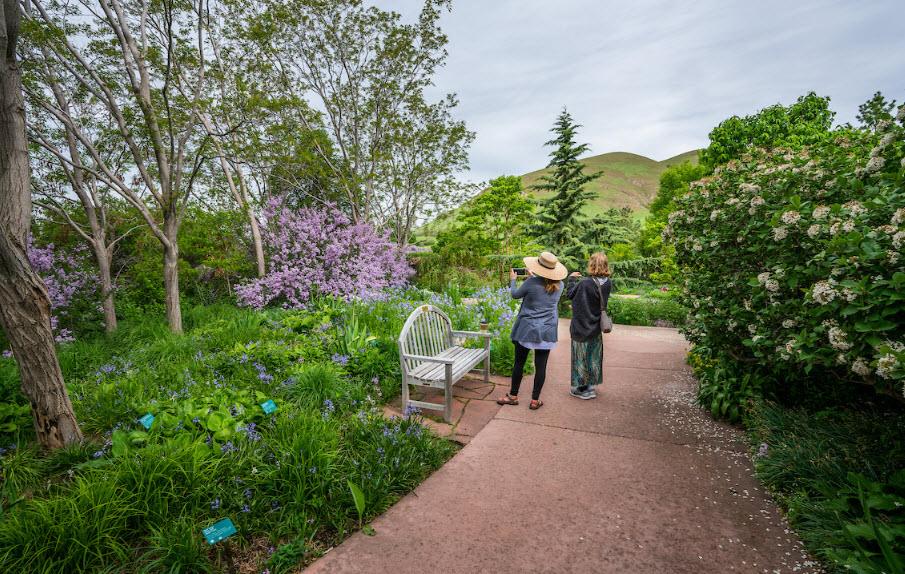 Red Butte Garden and Arboretum, United States